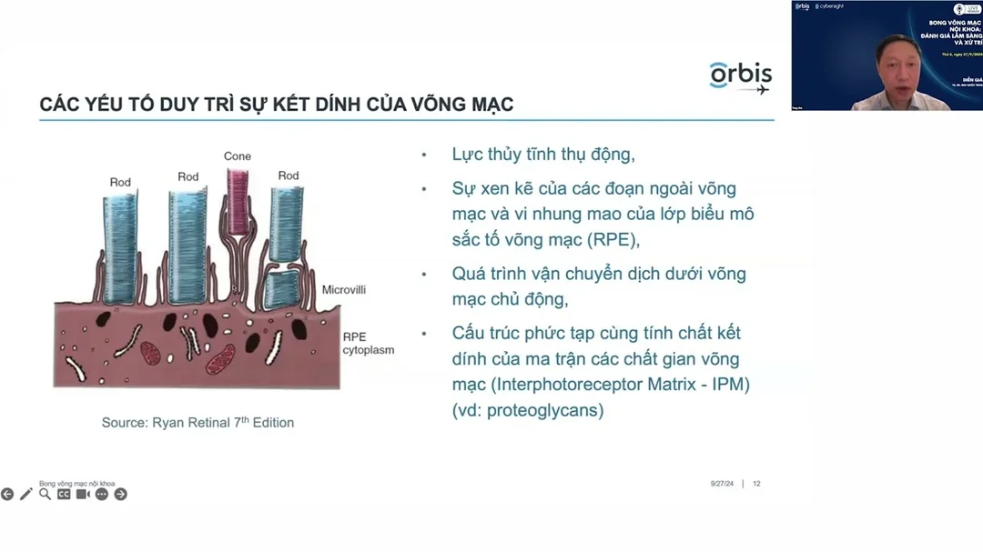 Bài giảng bong võng mạc và xử trí lâm sàng