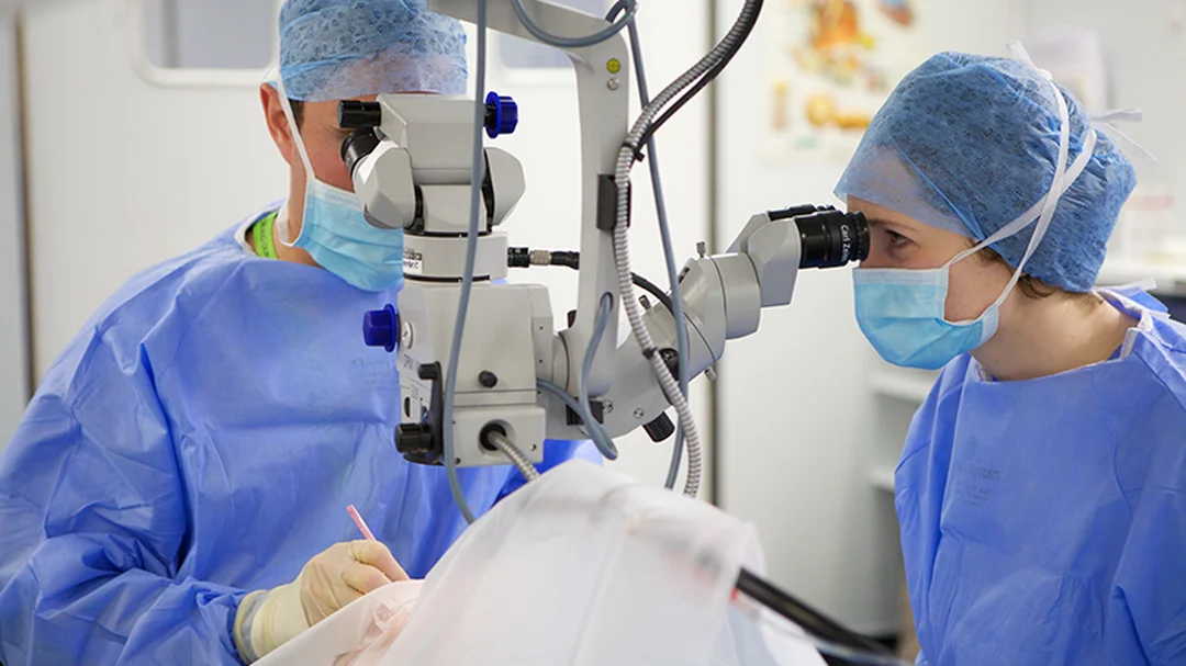 cách khắc phục tật cận thị bằng kính gọng và Ortho-K cách khắc phục tật cận thị bằng kính gọng và Ortho-K