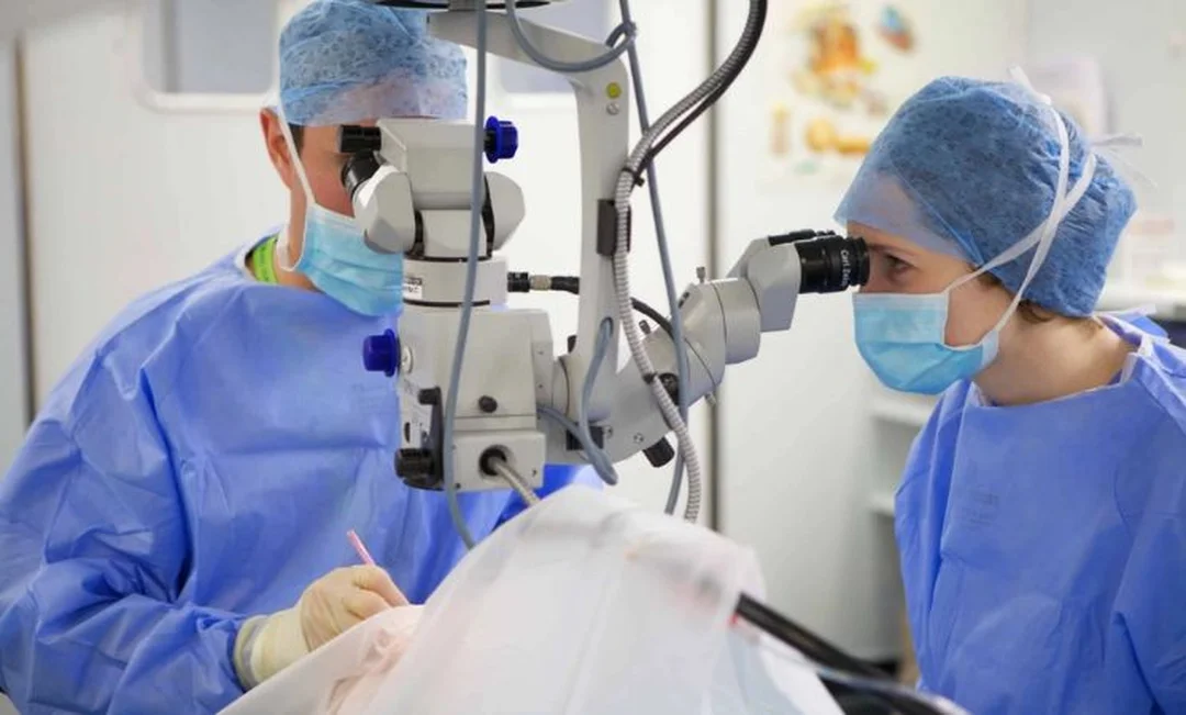 cận thị có tự khỏi được không và cách điều chỉnh mắt an toàn
