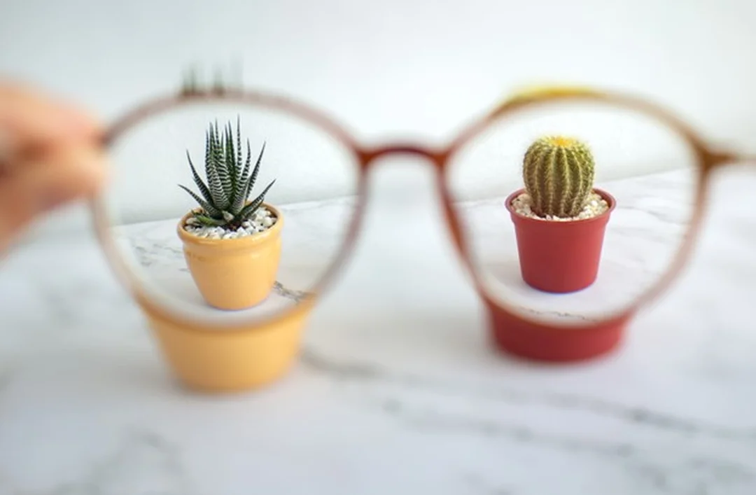 mắt cận thị là gì và cơ chế ánh sáng hội tụ trước võng mạc