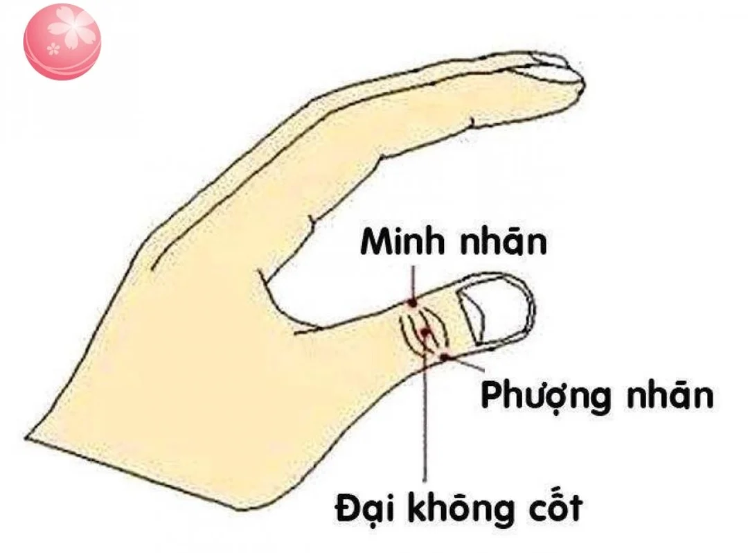 Bấm huyệt không thay thế khám khúc xạ bấm huyệt chữa cận thị không thay thế đo khúc xạ